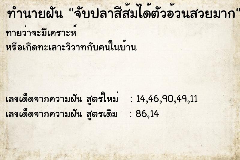 ทำนายฝันจับปลาสีส้มได้ตัวอ้วนสวยมาก ทำนายฝันทำนายฝันจับปลาสีส้มได้ตัวอ้วนสวยมาก