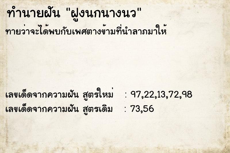 ทำนายฝันทำนายฝันฝูงนกนางนว