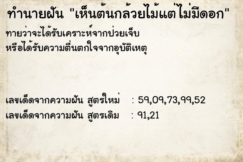 ทำนายฝันทำนายฝันเห็นต้นกล้วยไม้แต่ไม่มีดอก