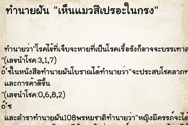 ทำนายฝันทำนายฝันเห็นแมวสีเปรอะในกรง