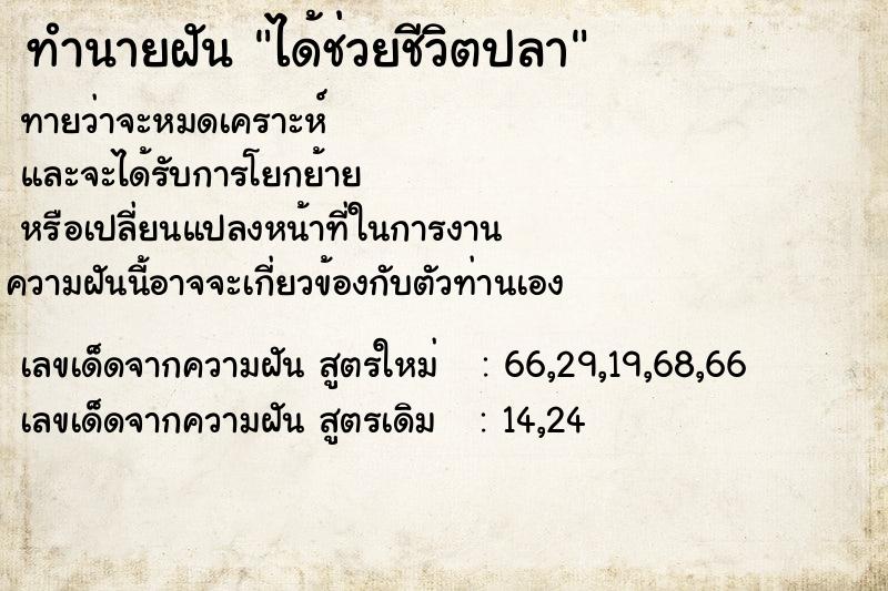 ทำนายฝันทำนายฝันได้ช่วยชีวิตปลา