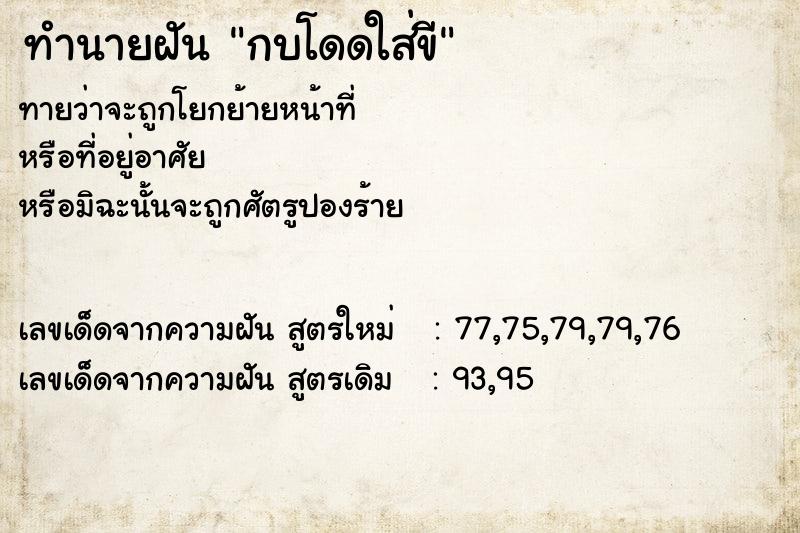 ทำนายฝันกบโดดใส่ขี ทำนายฝันทำนายฝันกบโดดใส่ขี