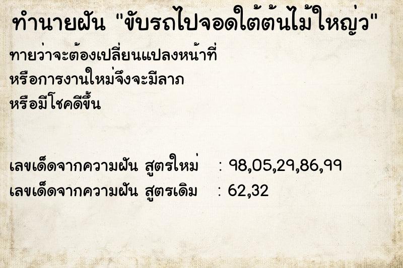 ทำนายฝันขับรถไปจอดใต้ต้นไม้ใหญ่ว ทำนายฝันทำนายฝันขับรถไปจอดใต้ต้นไม้ใหญ่ว