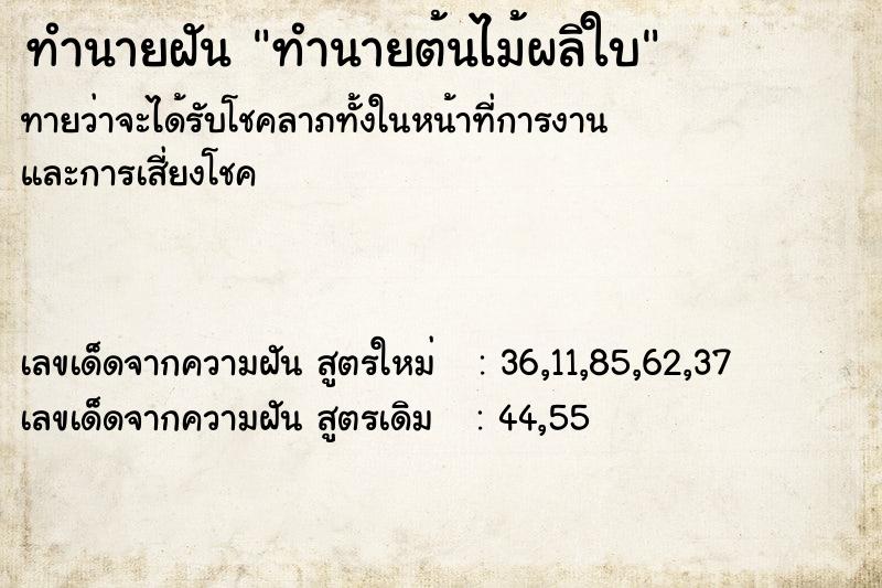 ทำนายฝันทำนายต้นไม้ผลิใบ ทำนายฝันทำนายฝันทำนายต้นไม้ผลิใบ