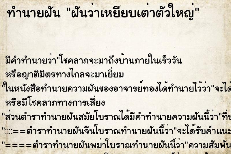 ทำนายฝัน ฝันว่าเหยียบเต่าตัวใหญ่ ทำนายฝัน ฝันว่าเหยียบเต่าตัวใหญ่