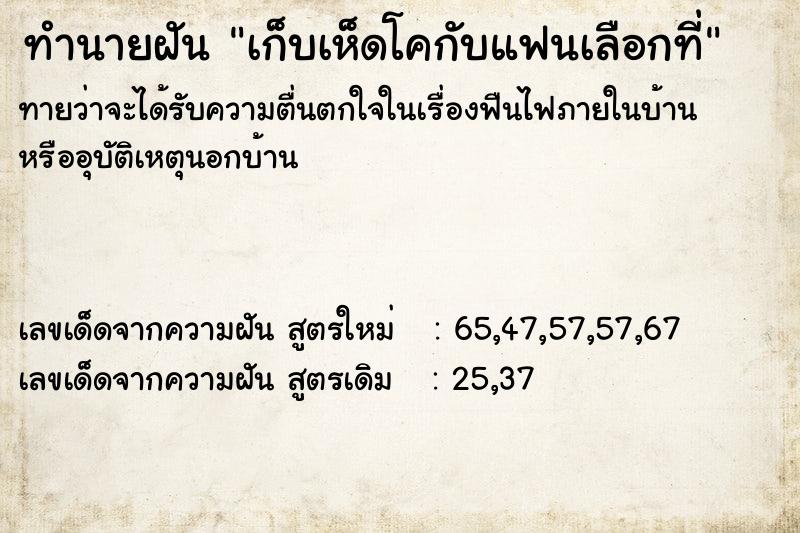 ทำนายฝันเก็บเห็ดโคกับแฟนเลือกที่ ทำนายฝันทำนายฝันเก็บเห็ดโคกับแฟนเลือกที่