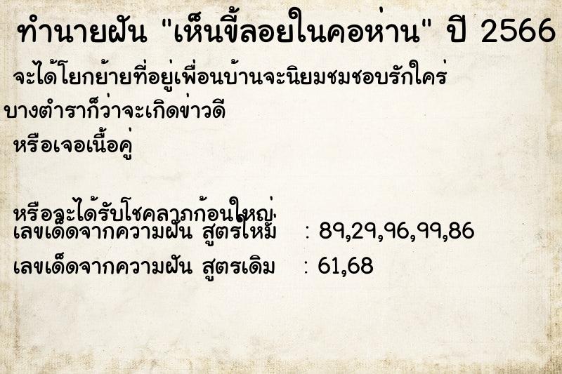 ทำนายฝันเห็นขี้ลอยในคอห่าน ทำนายฝันทำนายฝันเห็นขี้ลอยในคอห่าน