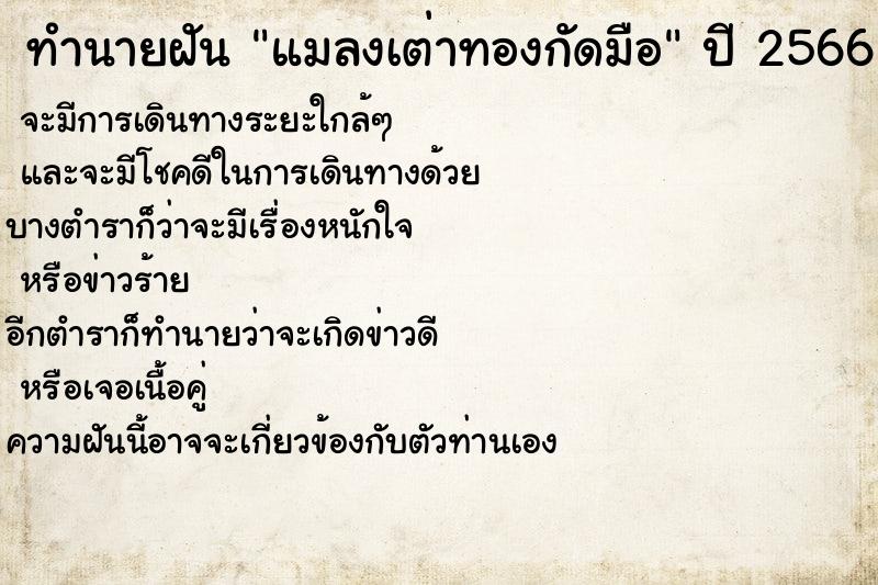 ทำนายฝันแมลงเต่าทองกัดมือ ทำนายฝันทำนายฝันแมลงเต่าทองกัดมือ