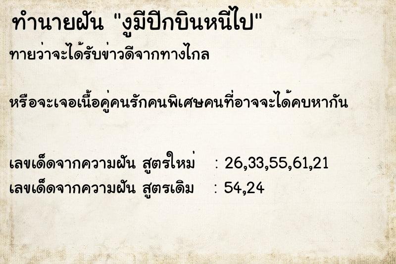 ทำนายฝันงูมีปีกบินหนีไป ทำนายฝันทำนายฝันงูมีปีกบินหนีไป