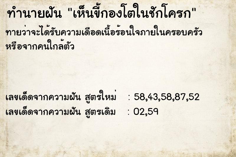 ทำนายฝันทำนายฝันเห็นขี้กองโตในชักโครก