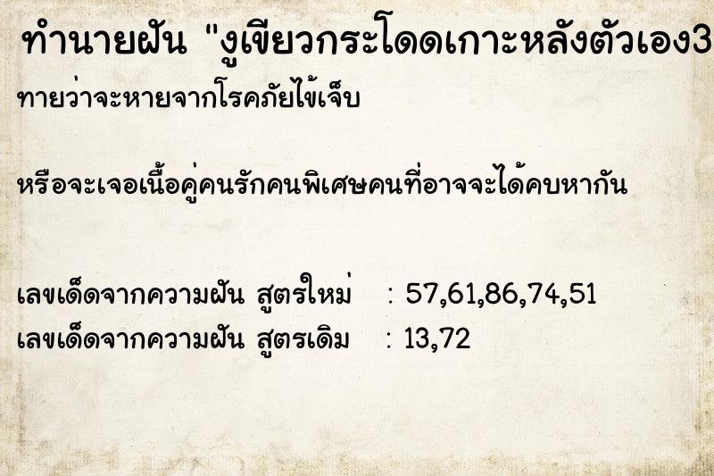 ทำนายฝันงูเขียวกระโดดเกาะหลังตัวเอง3ครั้ง ทำนายฝันทำนายฝันงูเขียวกระโดดเกาะหลังตัวเอง3ครั้ง