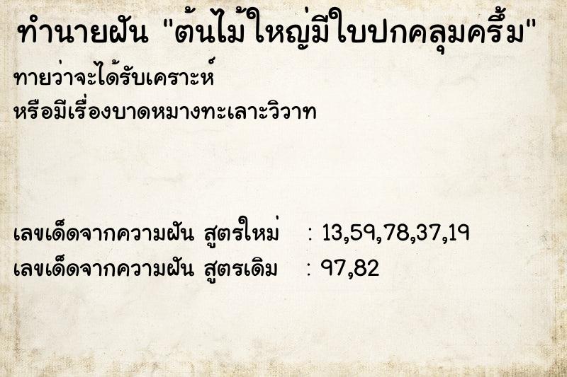 ทำนายฝัน ต้นไม้ใหญ่มีใบปกคลุมครึ้ม