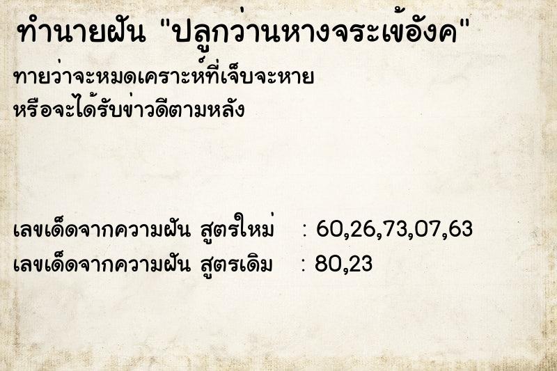 ทำนายฝัน ปลูกว่านหางจระเข้อังค ตำราโบราณ แม่นที่สุดในโลก