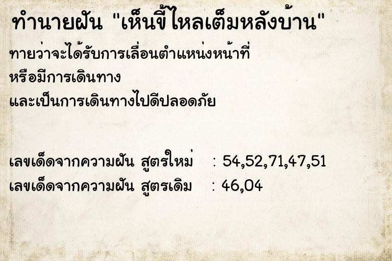 ทำนายฝันทำนายฝันเห็นขี้ไหลเต็มหลังบ้าน