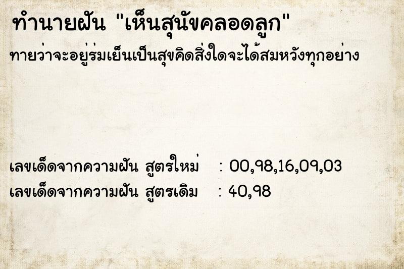 ทำนายฝัน เห็นสุนัขคลอดลูก ทำนายฝัน เห็นสุนัขคลอดลูก