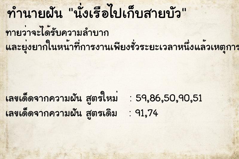 ทำนายฝันนั่งเรือไปเก็บสายบัว ทำนายฝันทำนายฝันนั่งเรือไปเก็บสายบัว