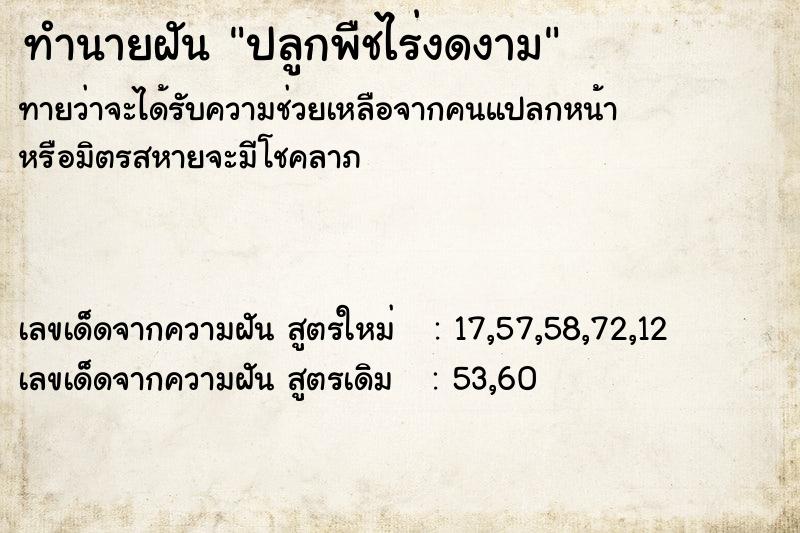 ทำนายฝันปลูกพืชไร่งดงาม ทำนายฝันทำนายฝันปลูกพืชไร่งดงาม