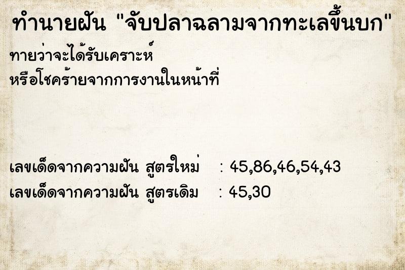 ทำนายฝันจับปลาฉลามจากทะเลขึ้นบก ทำนายฝันทำนายฝันจับปลาฉลามจากทะเลขึ้นบก