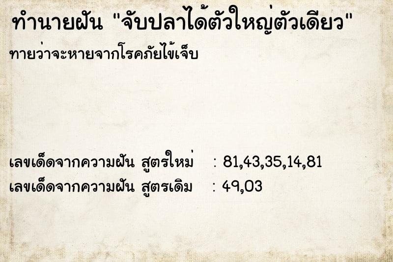 ทำนายฝันจับปลาได้ตัวใหญ่ตัวเดียว ทำนายฝันทำนายฝันจับปลาได้ตัวใหญ่ตัวเดียว