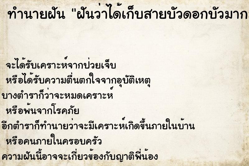 ทำนายฝันทำนายฝันฝันว่าได้เก็บสายบัวดอกบัวมากมาย