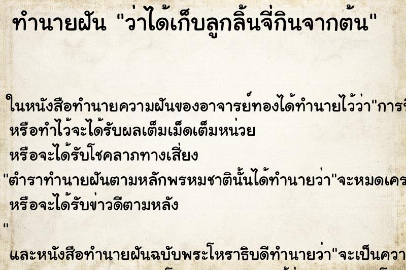 ทำนายฝัน ว่าได้เก็บลูกลิ้นจี่กินจากต้น ทำนายฝัน ว่าได้เก็บลูกลิ้นจี่กินจากต้น