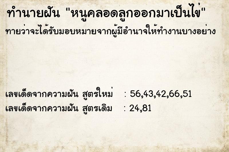 ทำนายฝันหนูคลอดลูกออกมาเป็นไข่ ทำนายฝันทำนายฝันหนูคลอดลูกออกมาเป็นไข่