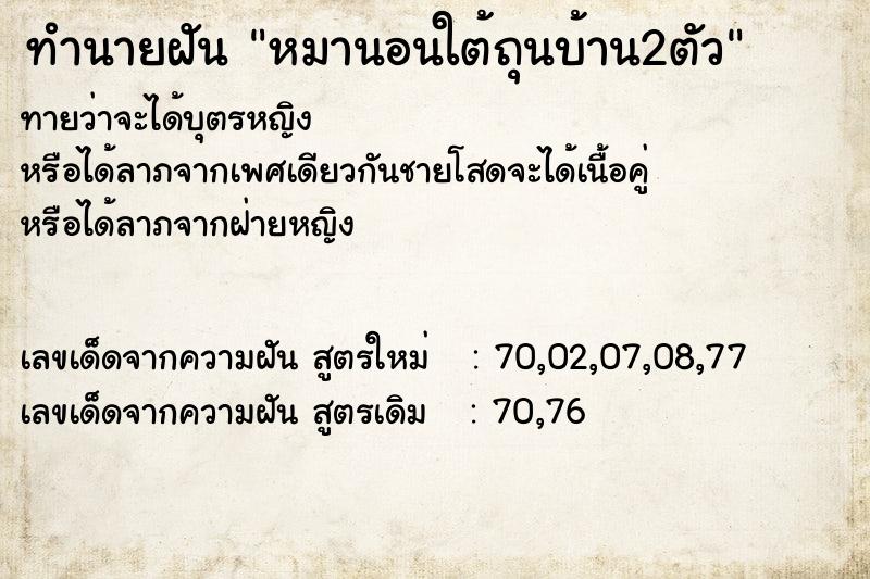 ทำนายฝันหมานอนใต้ถุนบ้าน2ตัว ทำนายฝันทำนายฝันหมานอนใต้ถุนบ้าน2ตัว