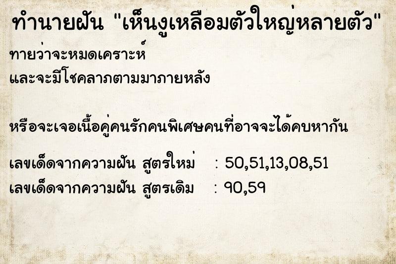 ทำนายฝันทำนายฝันเห็นงูเหลือมตัวใหญ่หลายตัว