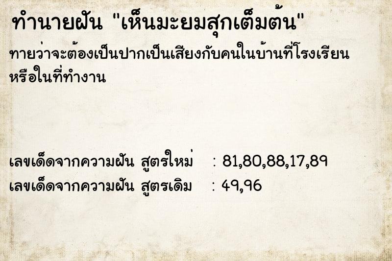 ทำนายฝัน เห็นมะยมสุกเต็มต้น ตำราโบราณ แม่นที่สุดในโลก