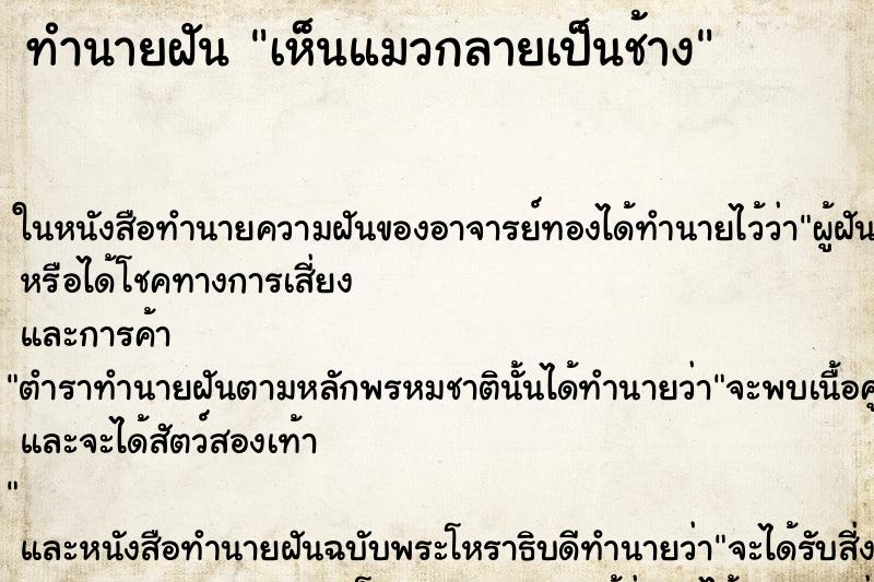 ทำนายฝันทำนายฝันเห็นแมวกลายเป็นช้าง