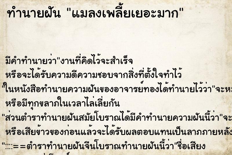 ทำนายฝัน แมลงเพลี้ยเยอะมาก ทำนายฝัน แมลงเพลี้ยเยอะมาก