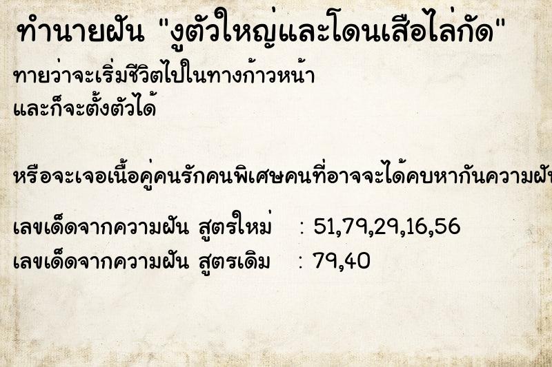 ทำนายฝันงูตัวใหญ่และโดนเสือไล่กัด ทำนายฝันทำนายฝันงูตัวใหญ่และโดนเสือไล่กัด
