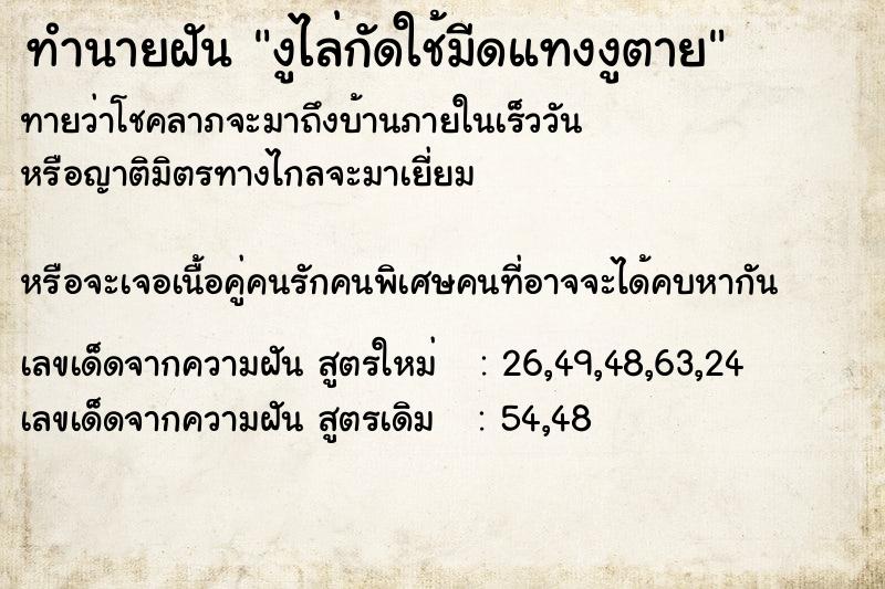 ทำนายฝันงูไล่กัดใช้มีดแทงงูตาย ทำนายฝันทำนายฝันงูไล่กัดใช้มีดแทงงูตาย