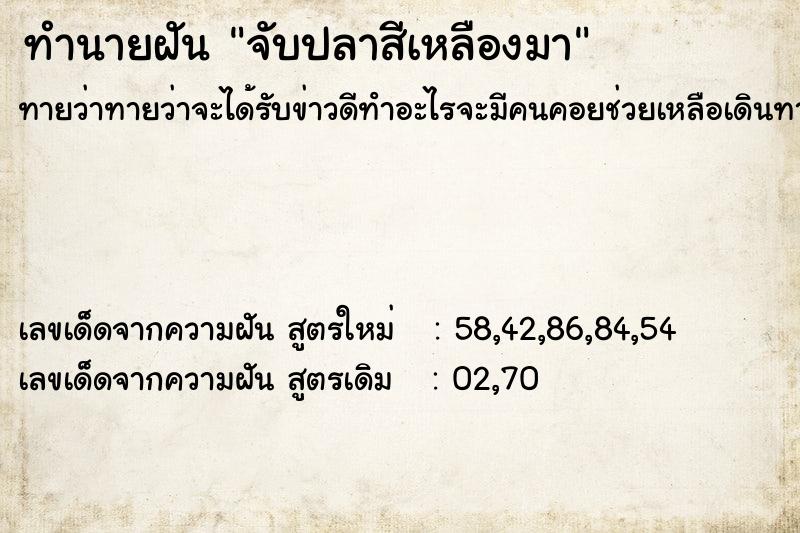 ทำนายฝันทำนายฝันจับปลาสีเหลืองมา