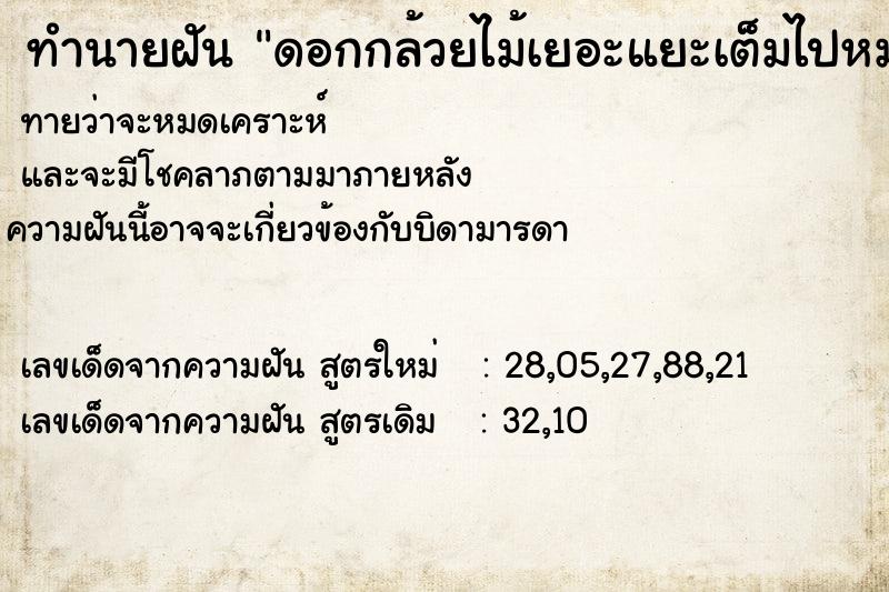 ทำนายฝันทำนายฝันดอกกล้วยไม้เยอะแยะเต็มไปหมด