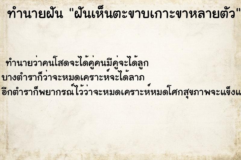 ทำนายฝันฝันเห็นตะขาบเกาะขาหลายตัว ทำนายฝันทำนายฝันฝันเห็นตะขาบเกาะขาหลายตัว