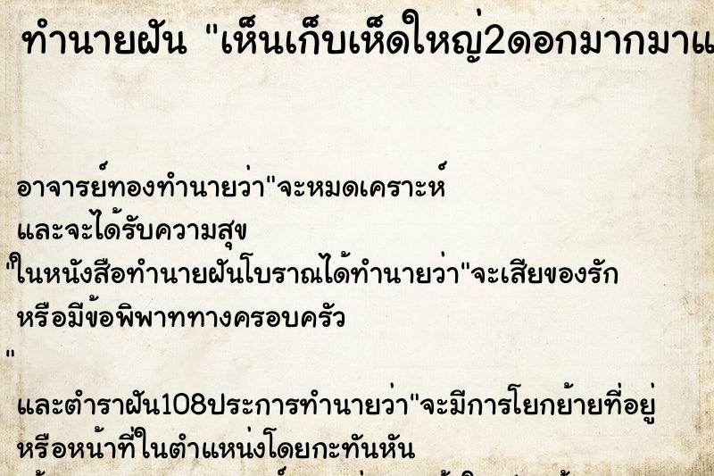 ทำนายฝันทำนายฝันเห็นเก็บเห็ดใหญ่2ดอกมากมาแกงกิน