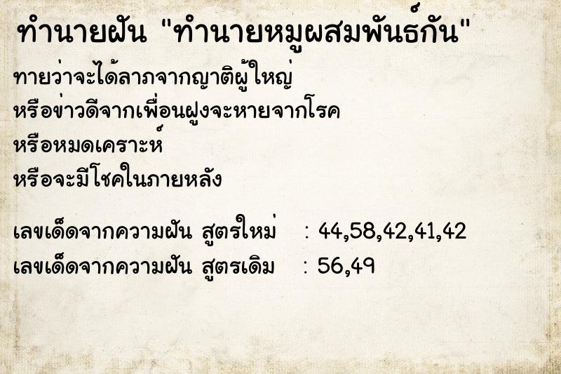ทำนายฝันทำนายหมูผสมพันธ์กัน ทำนายฝันทำนายฝันทำนายหมูผสมพันธ์กัน