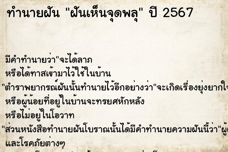 ทำนายฝันทำนายฝันฝันเห็นจุดพลุ