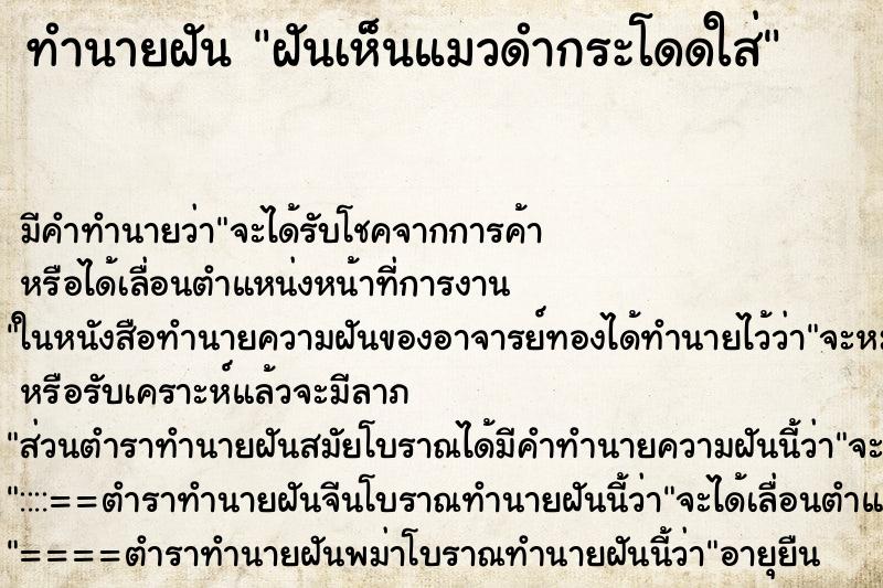 ทำนายฝันฝันเห็นแมวดำกระโดดใส่ ทำนายฝันทำนายฝันฝันเห็นแมวดำกระโดดใส่
