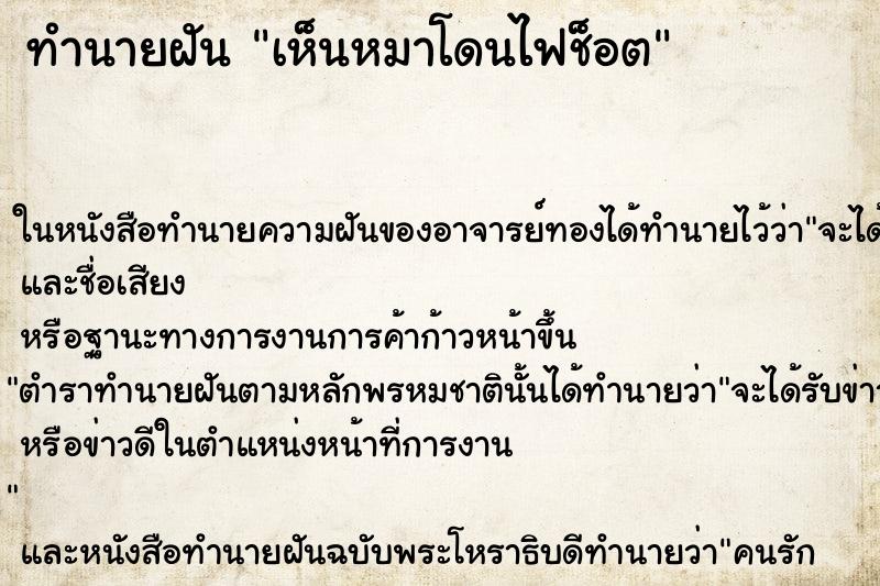 ทำนายฝันเห็นหมาโดนไฟช็อต ทำนายฝันทำนายฝันเห็นหมาโดนไฟช็อต
