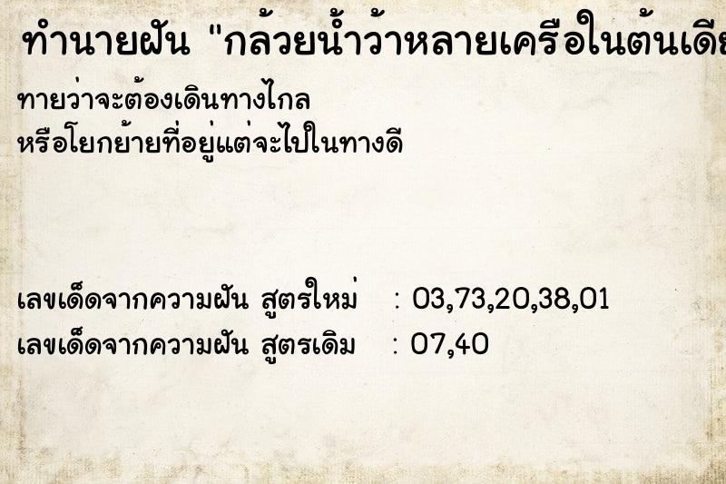 ทำนายฝันทำนายฝันกล้วยน้ำว้าหลายเครือในต้นเดียว