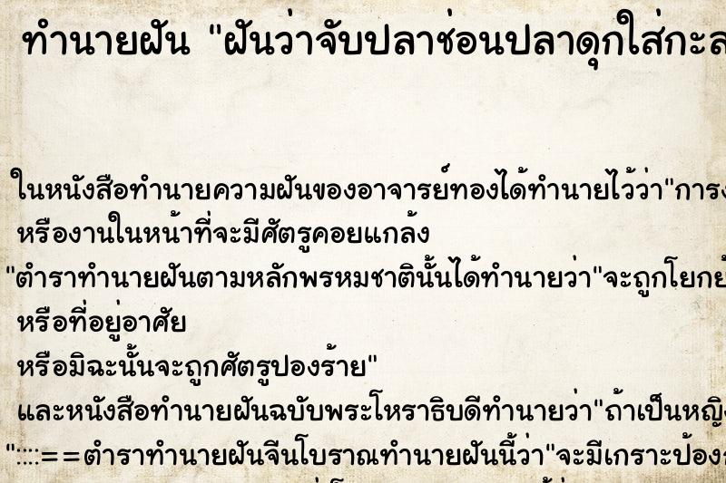 ทำนายฝันทำนายฝันฝันว่าจับปลาช่อนปลาดุกใส่กะละมังเยอะ