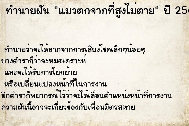 ทำนายฝันทำนายฝันแมวตกจากที่สูงไม่ตาย