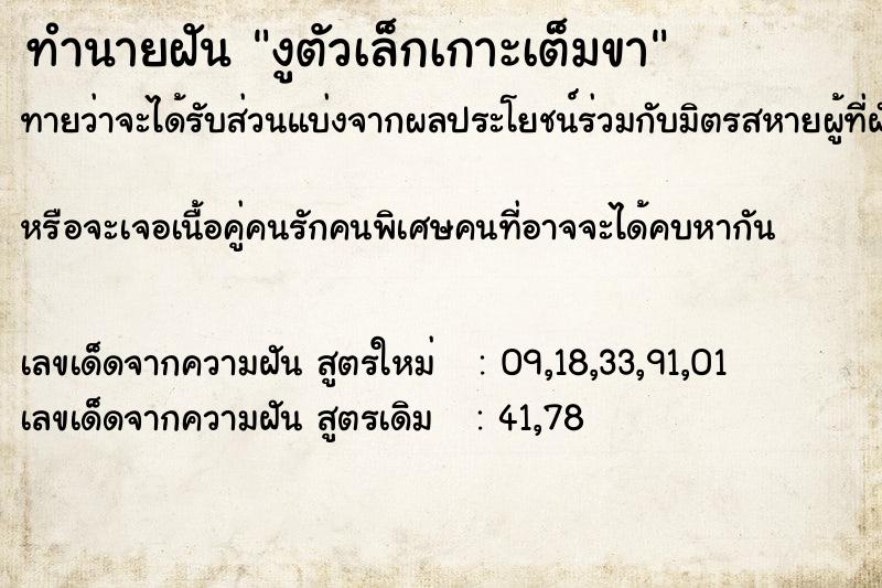 ทำนายฝันงูตัวเล็กเกาะเต็มขา ทำนายฝันทำนายฝันงูตัวเล็กเกาะเต็มขา