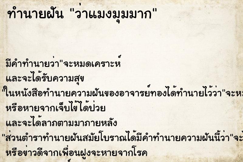 ทำนายฝัน ว่าแมงมุมมาก ทำนายฝัน ว่าแมงมุมมาก