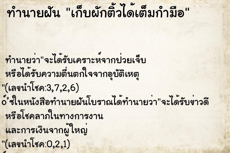 ทำนายฝันเก็บผักติ้วได้เต็มกำมือ ทำนายฝันทำนายฝันเก็บผักติ้วได้เต็มกำมือ