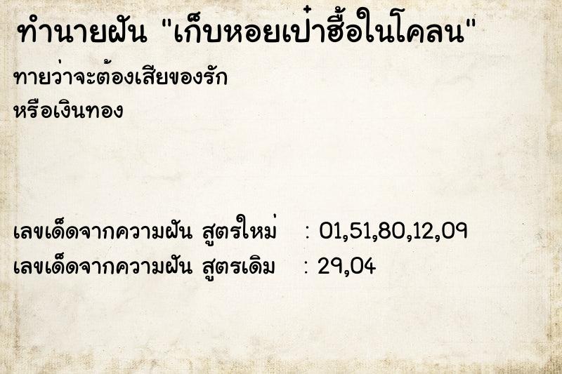 ทำนายฝันเก็บหอยเป๋าฮื้อในโคลน ทำนายฝันทำนายฝันเก็บหอยเป๋าฮื้อในโคลน