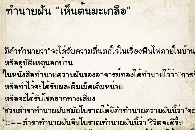ทำนายฝันทำนายฝันเห็นต้นมะเกลือ