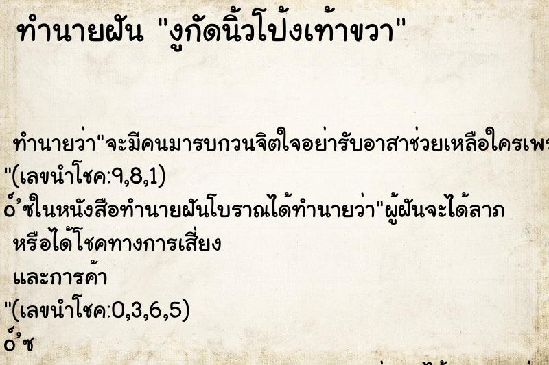ทำนายฝันงูกัดนิ้วโป้งเท้าขวา ทำนายฝันทำนายฝันงูกัดนิ้วโป้งเท้าขวา